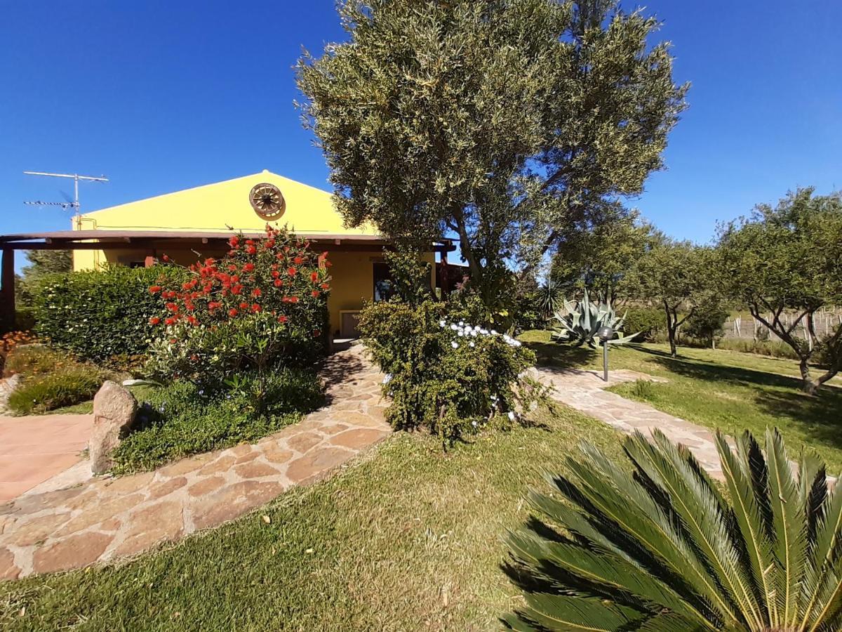 Agriturismo Campesi Casale Tra Le Vigne Aglientu Kültér fotó
