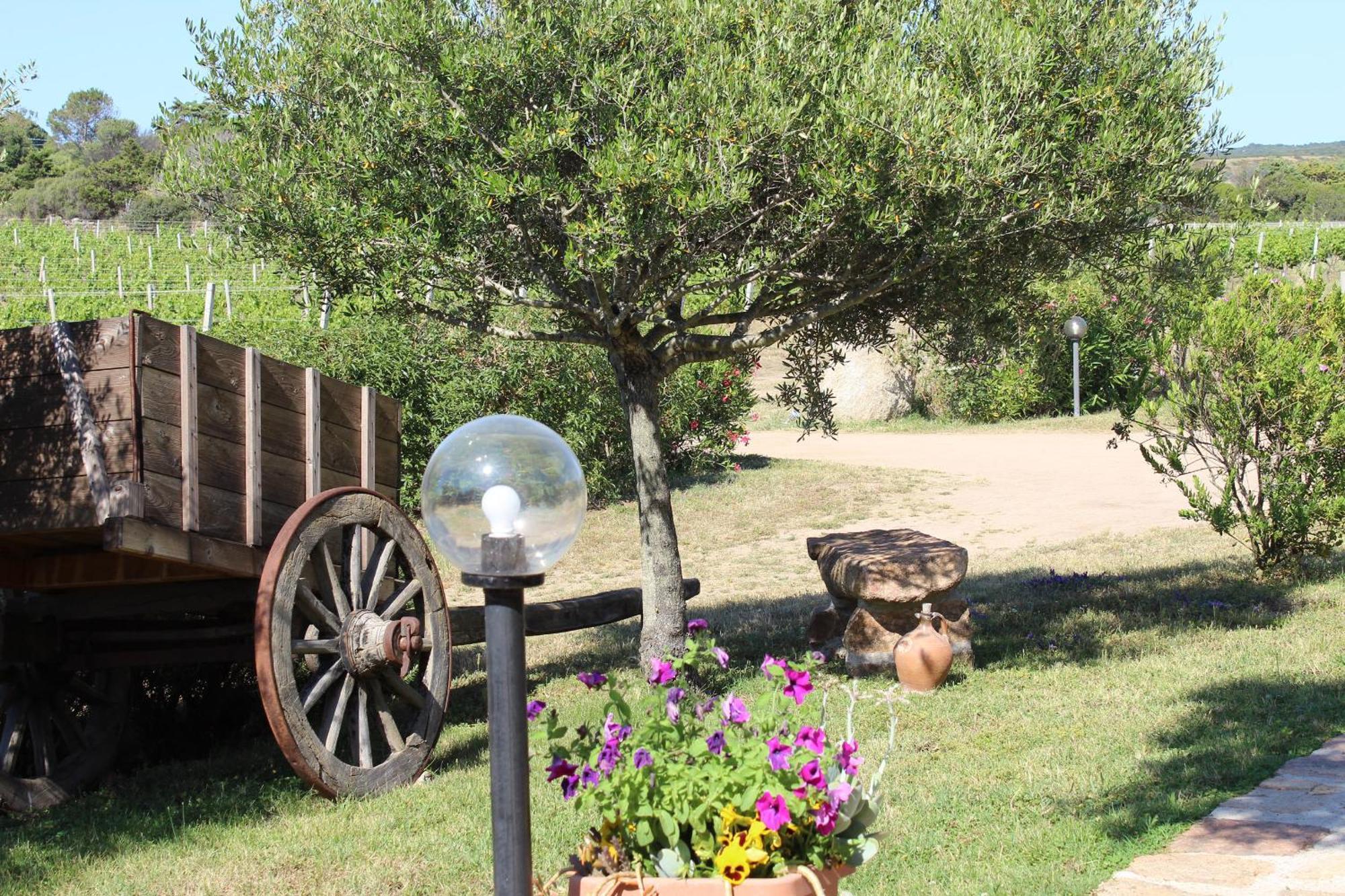Agriturismo Campesi Casale Tra Le Vigne Aglientu Kültér fotó