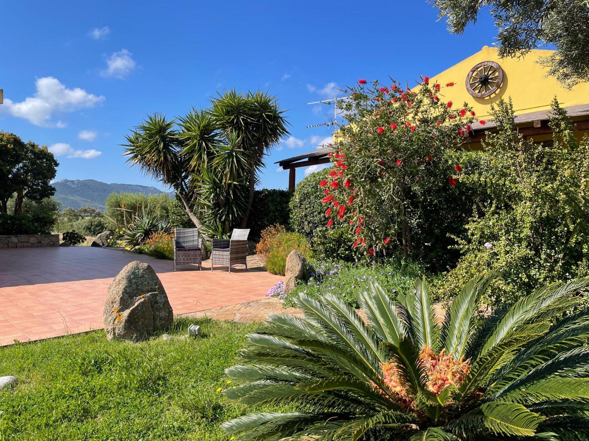 Agriturismo Campesi Casale Tra Le Vigne Aglientu Kültér fotó
