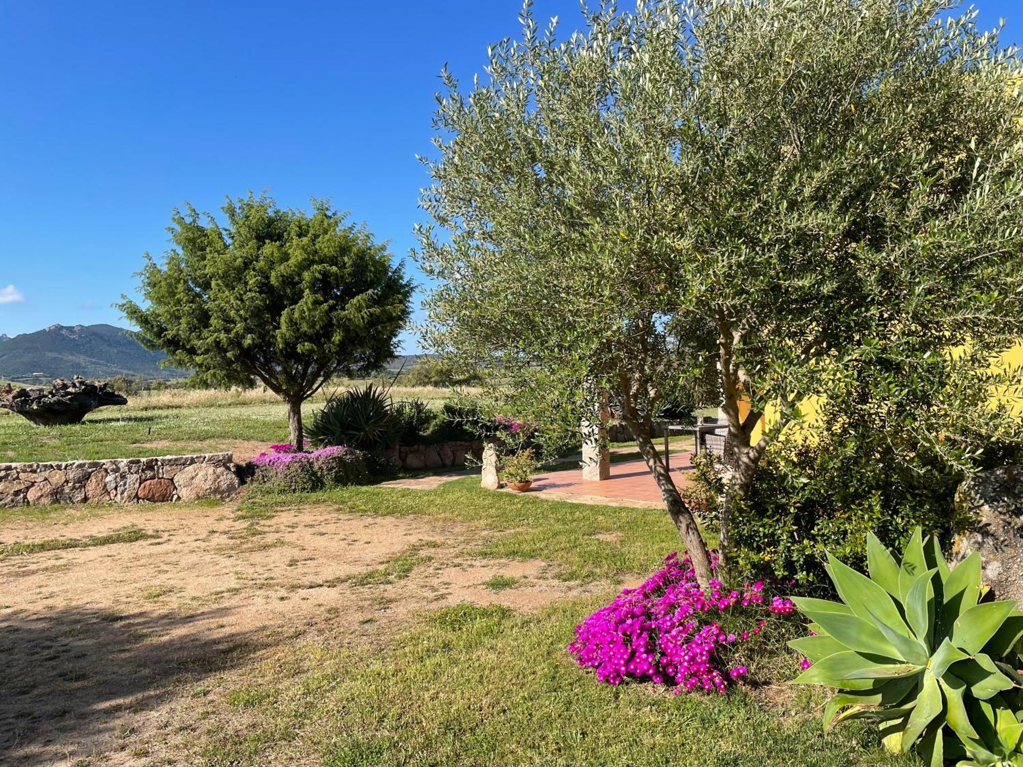 Agriturismo Campesi Casale Tra Le Vigne Aglientu Kültér fotó