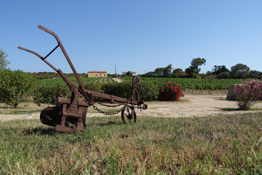 Agriturismo Campesi Casale Tra Le Vigne Aglientu Kültér fotó