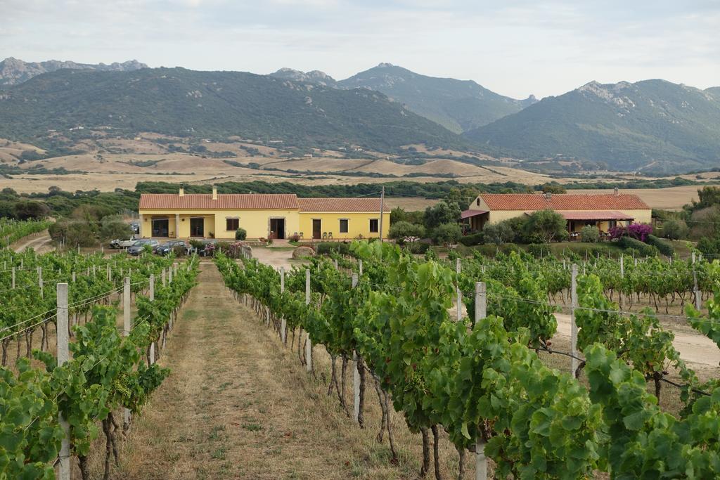 Agriturismo Campesi Casale Tra Le Vigne Aglientu Kültér fotó