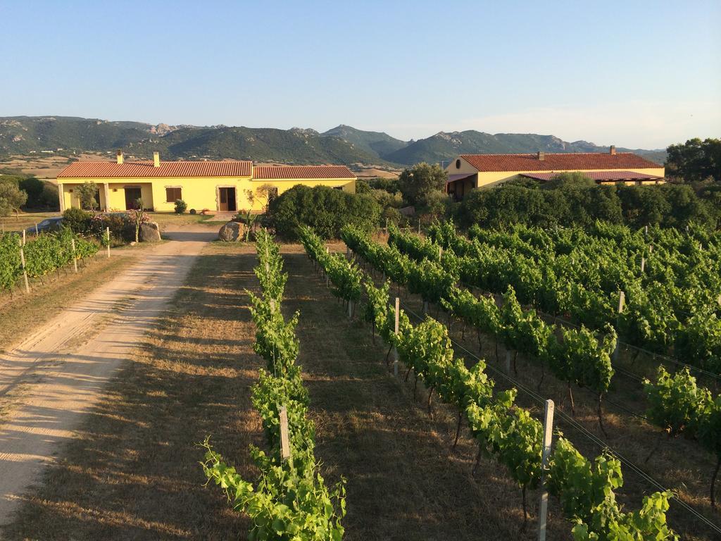 Agriturismo Campesi Casale Tra Le Vigne Aglientu Kültér fotó