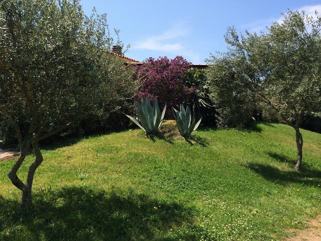 Agriturismo Campesi Casale Tra Le Vigne Aglientu Kültér fotó