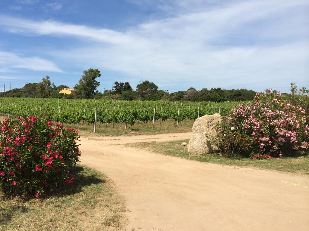 Agriturismo Campesi Casale Tra Le Vigne Aglientu Kültér fotó