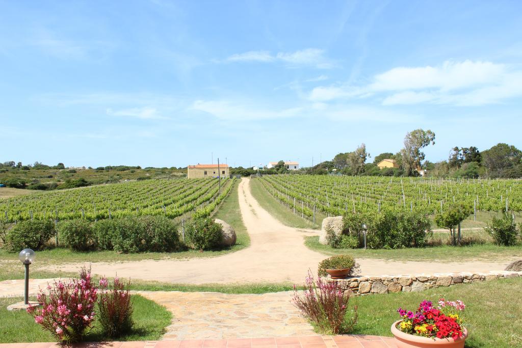 Agriturismo Campesi Casale Tra Le Vigne Aglientu Kültér fotó