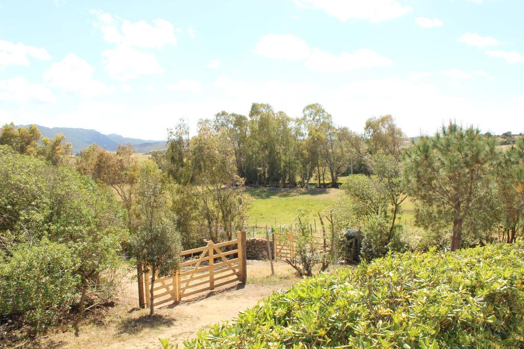 Agriturismo Campesi Casale Tra Le Vigne Aglientu Kültér fotó