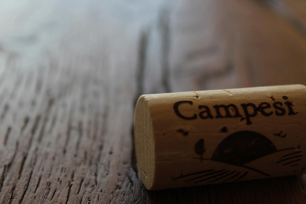 Agriturismo Campesi Casale Tra Le Vigne Aglientu Kültér fotó