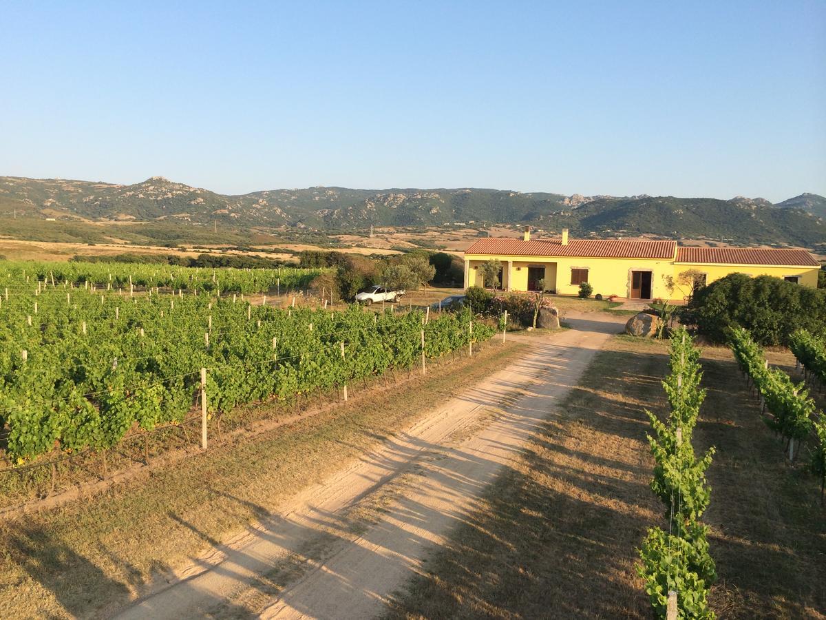 Agriturismo Campesi Casale Tra Le Vigne Aglientu Kültér fotó
