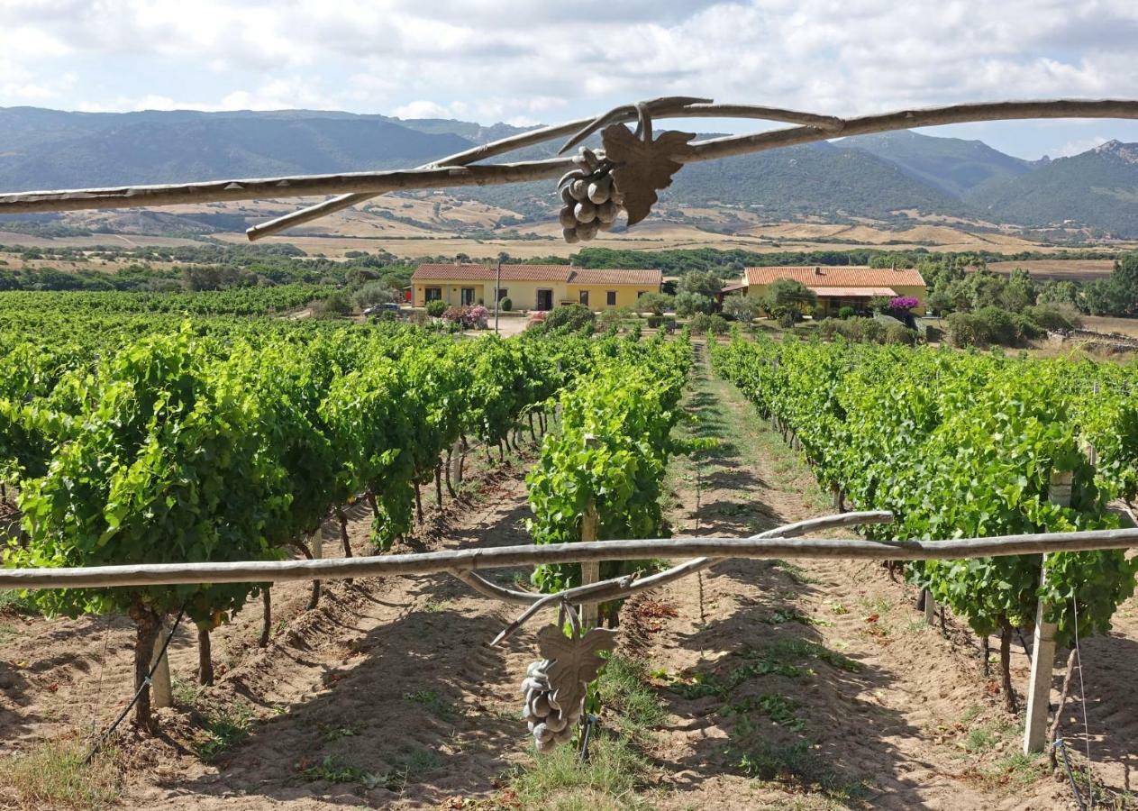 Agriturismo Campesi Casale Tra Le Vigne Aglientu Kültér fotó
