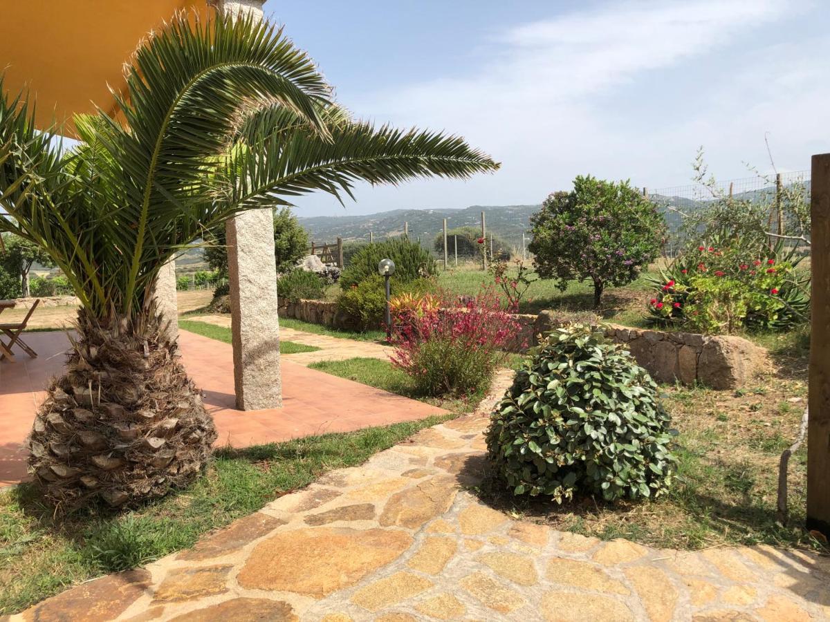 Agriturismo Campesi Casale Tra Le Vigne Aglientu Kültér fotó