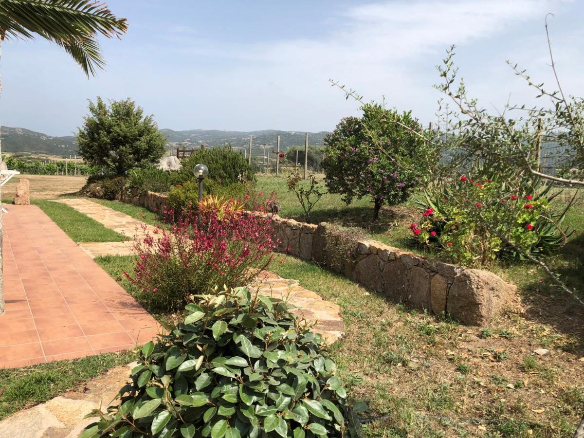 Agriturismo Campesi Casale Tra Le Vigne Aglientu Kültér fotó